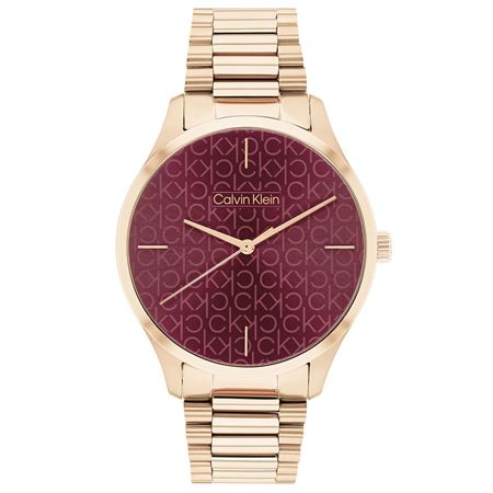 CALVİN KLEİN KOL SAATİ CK25200169