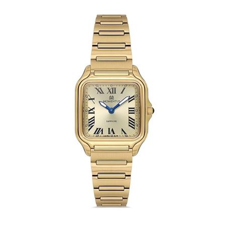 MOMENTUS KOL SAATİ CS348G-08SG