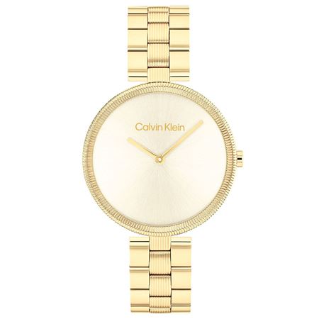 CALVİN KLEİN KOL SAATİ CK25100014