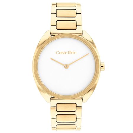 CALVİN KLEİN KOL SAATİ CK25200276