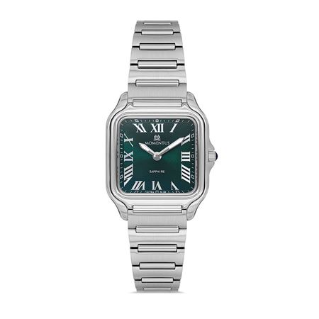 MOMENTUS KOL SAATİ CS348S-15SS