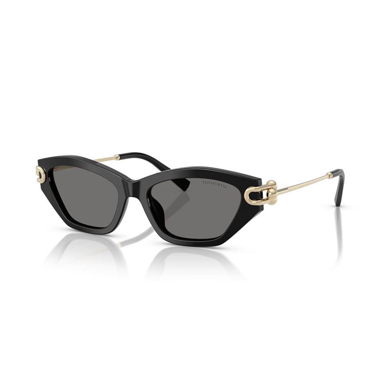 TIFFANY&CO. GÜNEŞ GÖZLÜĞÜ TF4231U-8001/81