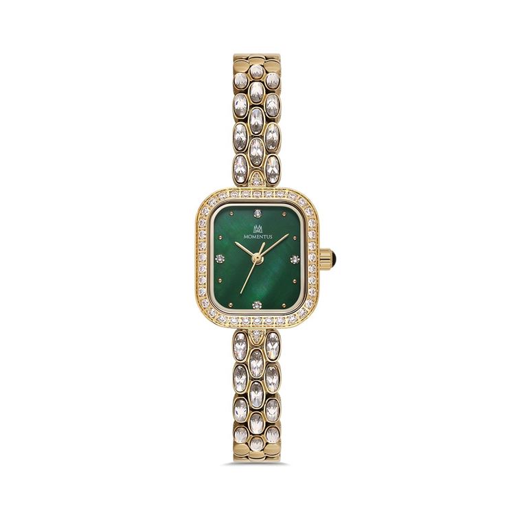 MOMENTUS KOL SAATİ SS403G-15SGS