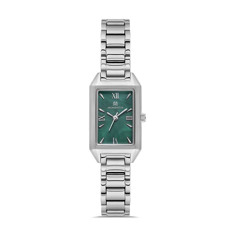 MOMENTUS KOL SAATİ CW319S-15SS