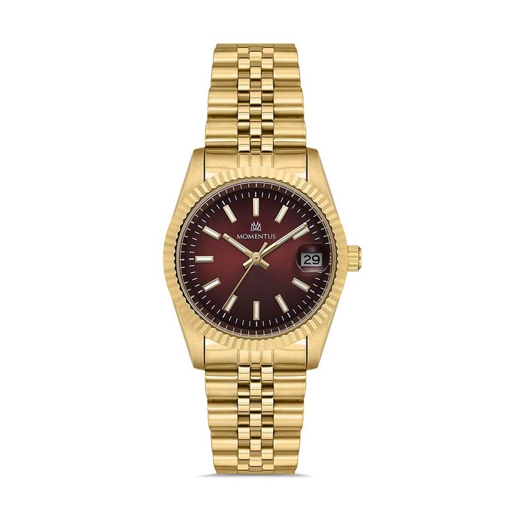 MOMENTUS KOL SAATİ CW132G-14SG