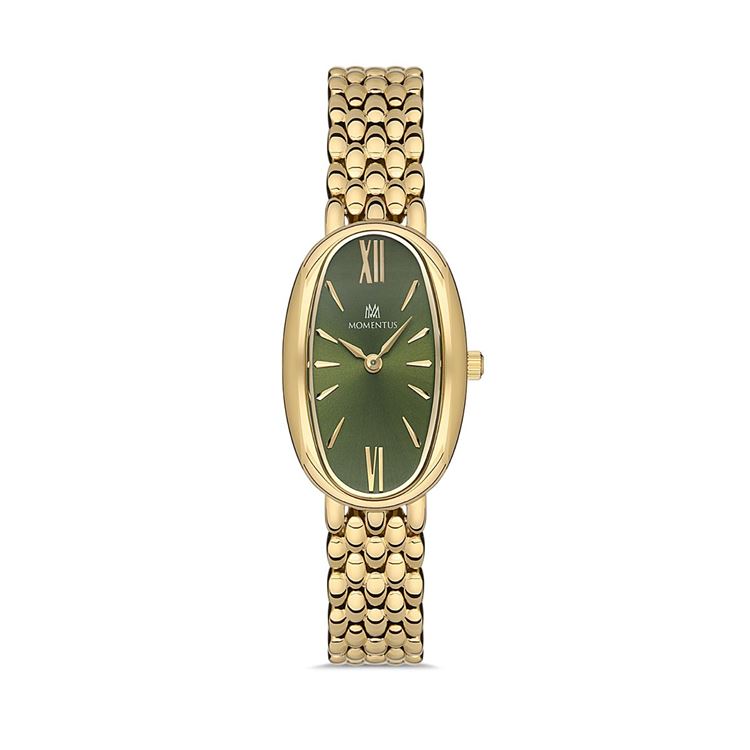 MOMENTUS KOL SAATİ CW254G-15SG