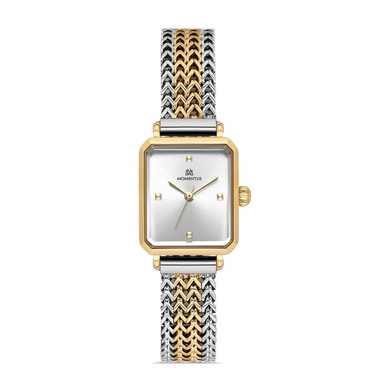 MOMENTUS KOL SAATİ CW320G-02TG