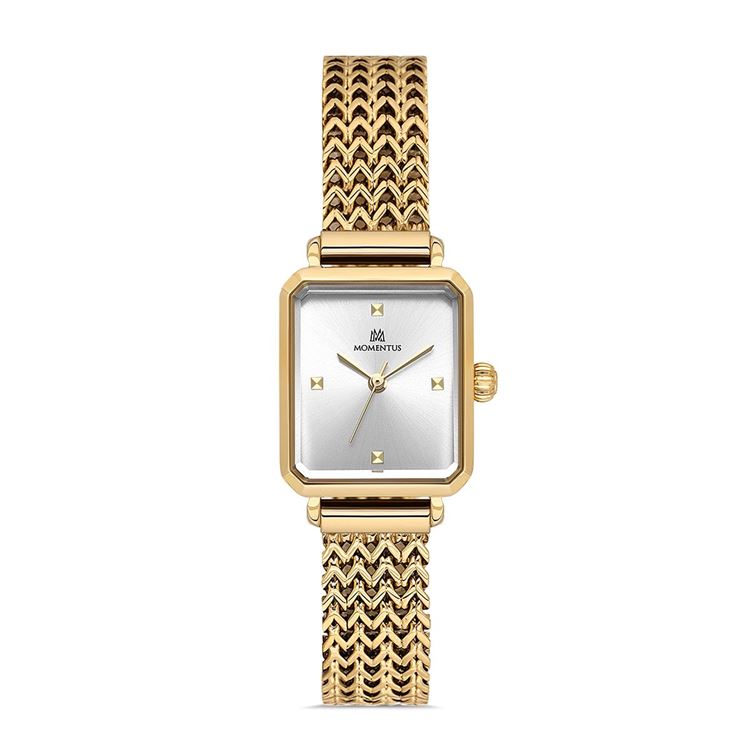 MOMENTUS KOL SAATİ CW320G-02SG