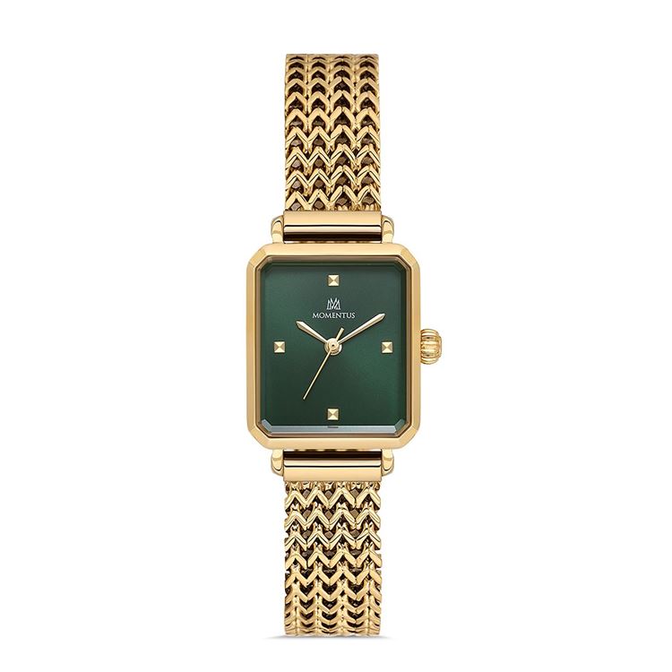 MOMENTUS KOL SAATİ CW320G-15SG