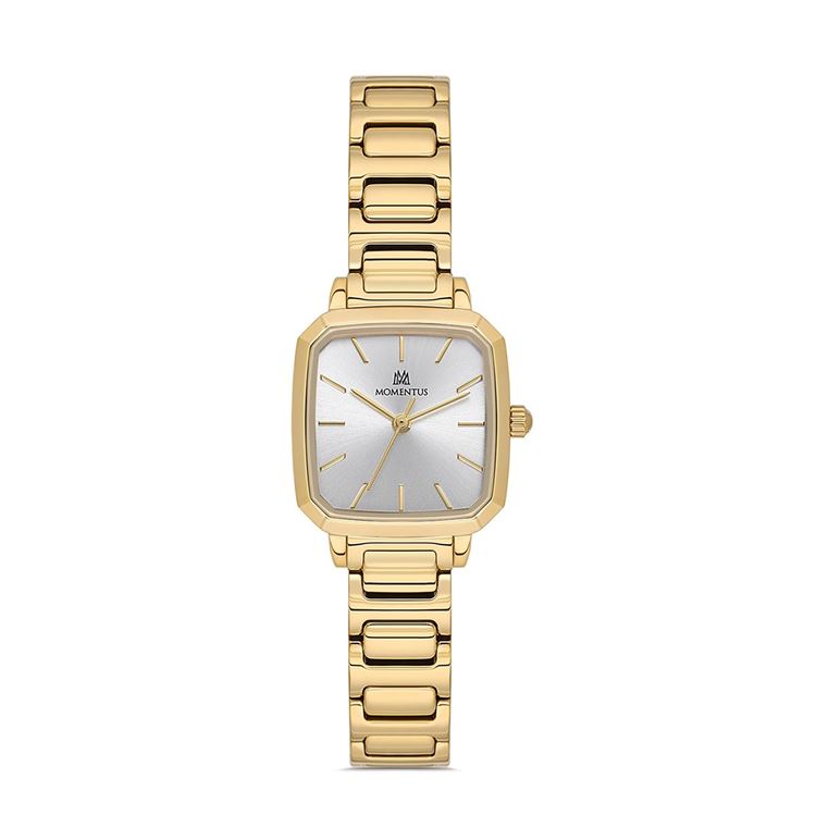 MOMENTUS KOL SAATİ CW321G-02SG