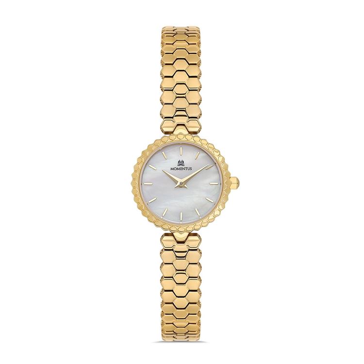 MOMENTUS KOL SAATİ CW324G-09SG