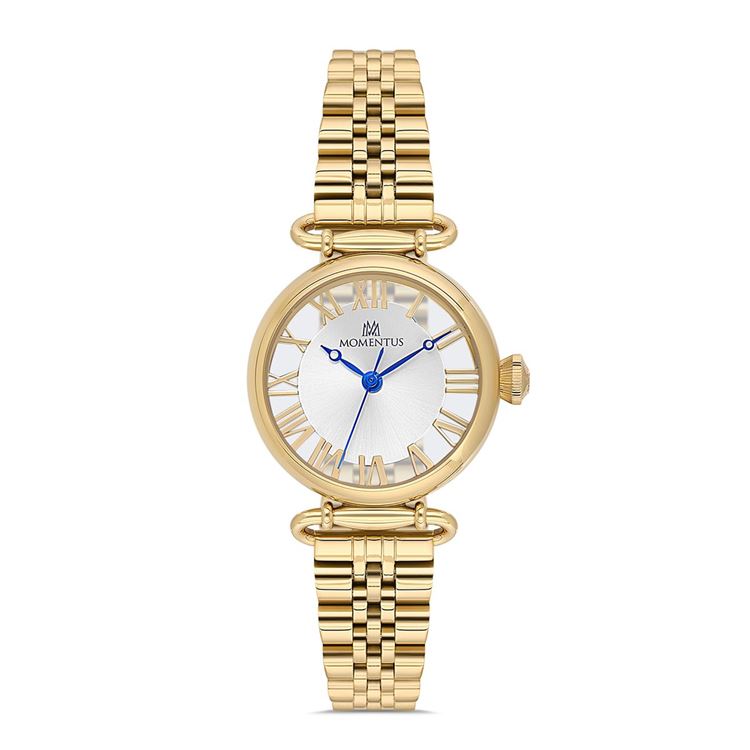 MOMENTUS KOL SAATİ CW341G-02TG