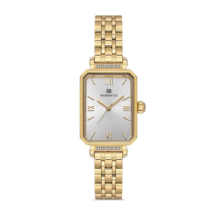 MOMENTUS KOL SAATİ SS223G-02SG