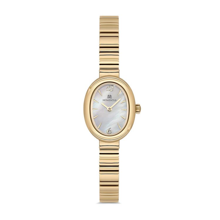 MOMENTUS KOL SAATİ CW326G-09SG