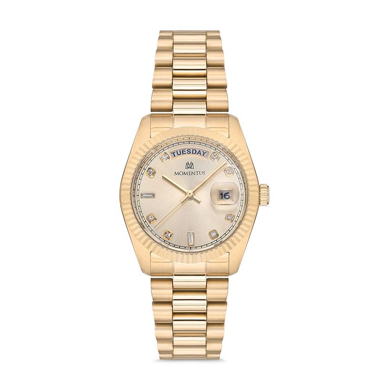 MOMENTUS KOL SAATİ CW134G-08SG