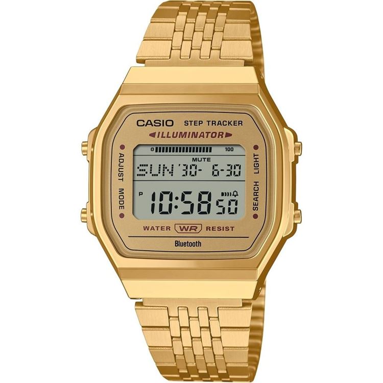 CASIO KOL SAATİ ABL-100WEG-9ADF