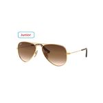 RAYBAN GÜNEŞ GÖZLÜĞÜ 9506-S-223/13*50