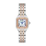 BVHPOLO KOL SAATİ BP3600C.520