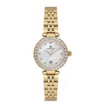 MOMENTUS KOL SAATİ SS395G-09SG